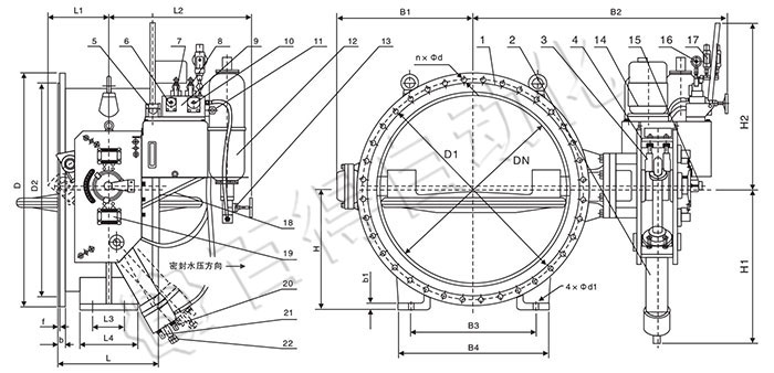 智能型蓄能器式液控止回蝶閥外形尺寸圖